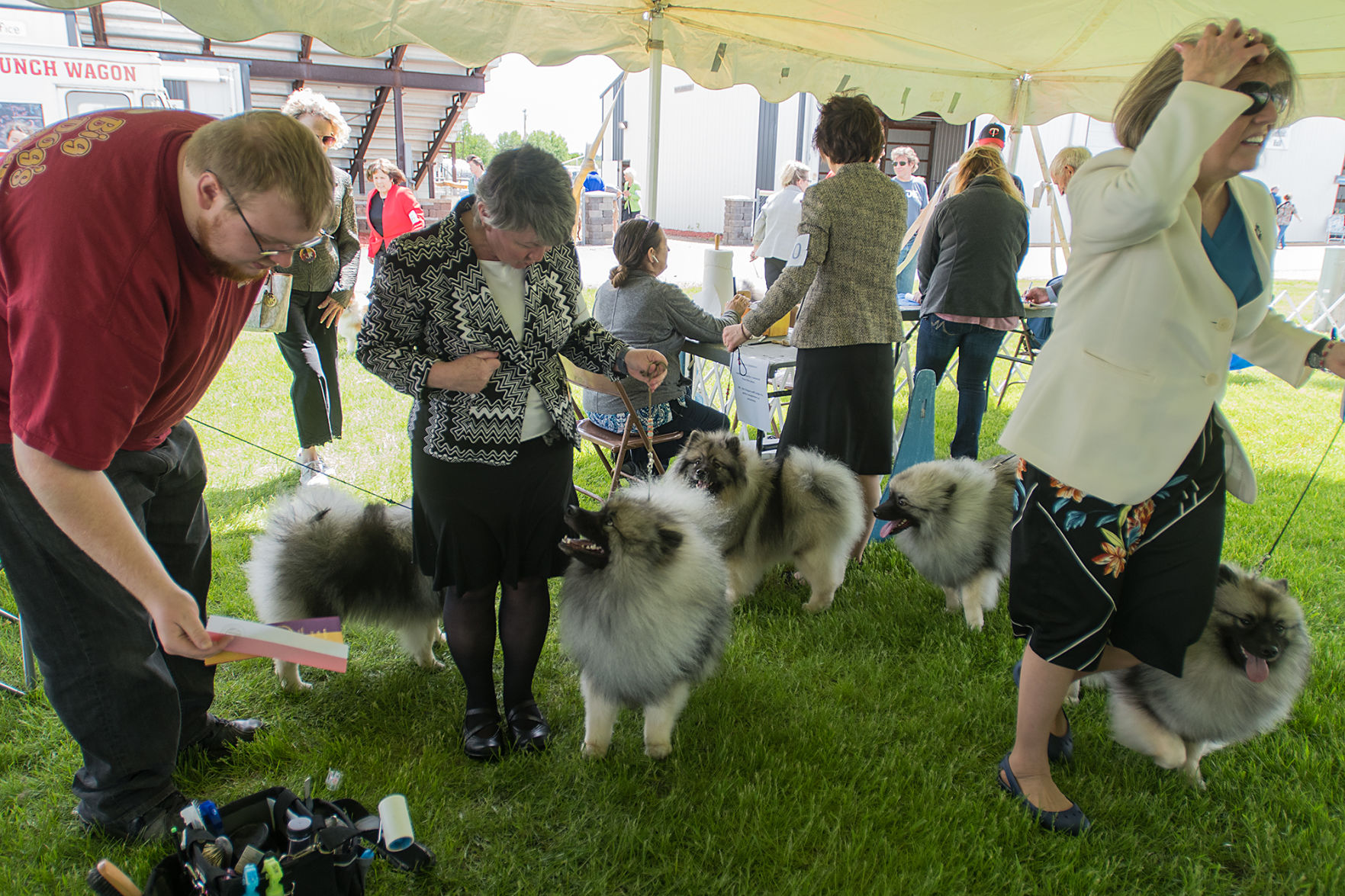 Dog Show 7